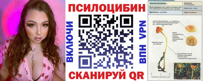 Псилоцибиновые грибы Psilocybine cubensis  Купить закладки  Чулым 